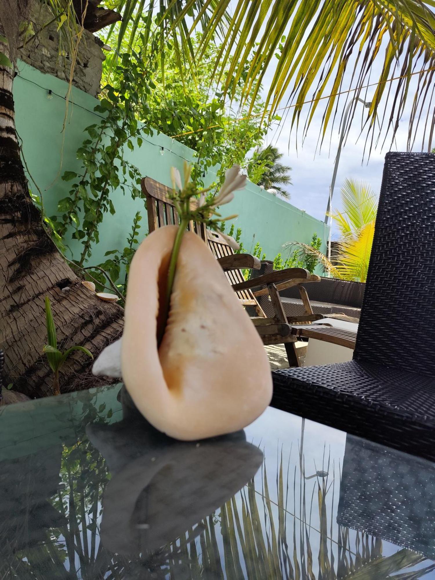 Mamello Beach Club Maldives Feridhoo Exterior photo